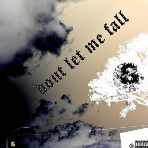 Don't Let Me Fall