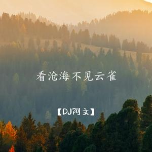 看沧海不见云雀