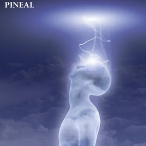 Pineal