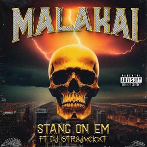 STANG ON EM (feat. DJ STR8JVCKXT)