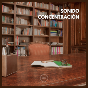 Sonido Concentración (23)