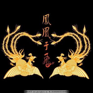 凤凰于飞（翻自 林俊杰）