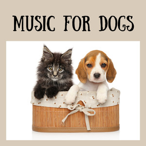 Pet Music