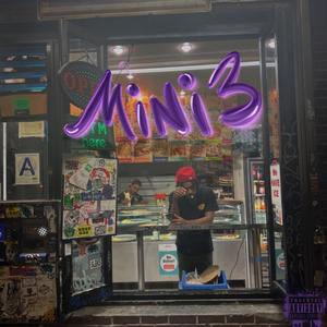 Mini 3