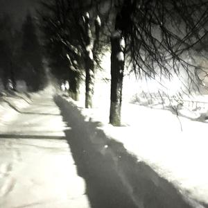 Walk in the cold (Slowed)