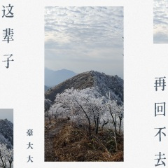 只是因为遇见了你 (DJ豪大大版)