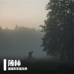 金钱下的现实悲歌