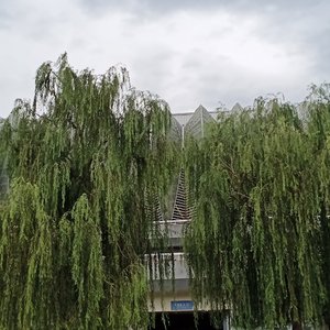 广寒