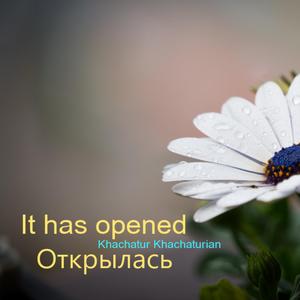 It has opened - Открылась