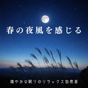 熟睡ギターBGM 睡眠の質を高めるヒーリング音楽 (自律神経を整える睡眠用 焚き火)