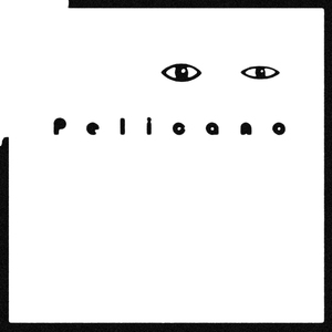 Pelicano