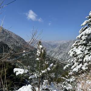 项晨予《念念相望》RVS-Mixdown（大混响）.wav