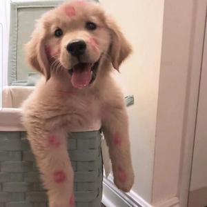 spin with u（翻自 Emma Sameth）