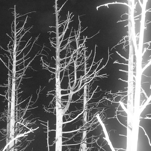 KUDASAI (feat. KUSH JONES)