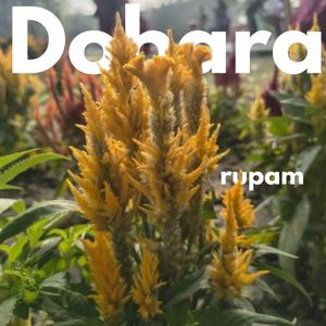 Dobara
