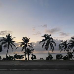 等到明天再相见