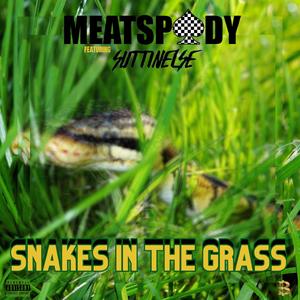 Snakes In The Grass (feat. Suttin Else)