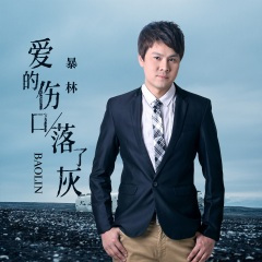 爱的伤口落了灰 (DJ伟伟版)