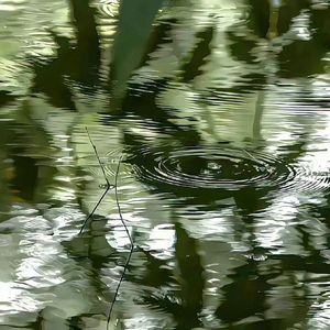 送给18岁的自己