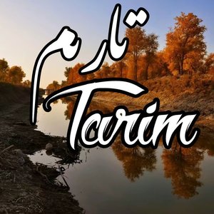 Tarim-塔里木 吉他版