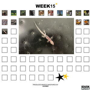 WEEK13
