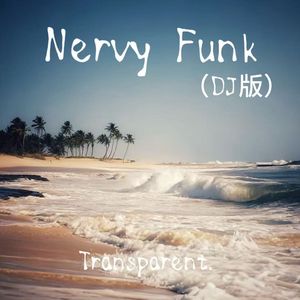 Nervy Funk(DJ版)