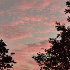 现在（Prod.by Lil Siren）