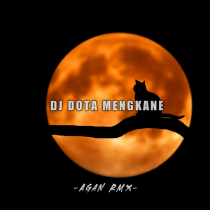 DJ Dota Mengkane