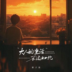 大人的生活不过如此