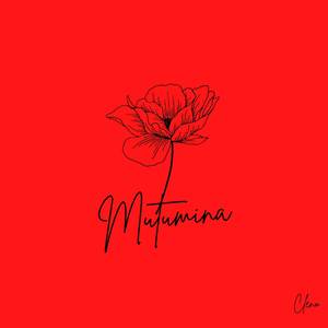 Mutumina (Freestyle)