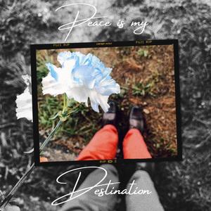 Peace Is My Destination