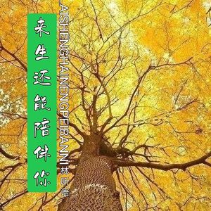 来生还能陪伴你