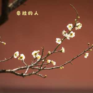 思念滚烫 (静心曲)