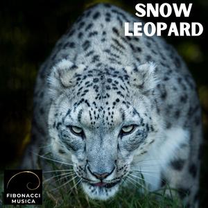 Snow Leopard
