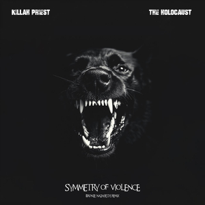 Symmetry of Violence (Bronze Nazareth Remix) [feat. Timbo King, Jus Allah & Vinnie Paz]