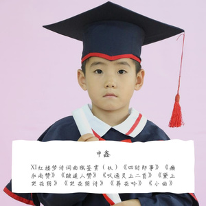 Ⅸ红楼梦诗词曲赋鉴赏（玖）四时即事、癞和尚赞、跛道人赞、哭花阴诗、葬花吟、小曲