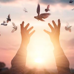 Waになって踊ろう