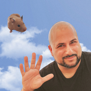 בארז ראפאלי