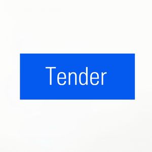 Tender（翻单依纯周笔畅）