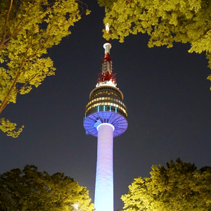 N seoul tower (Seoul)