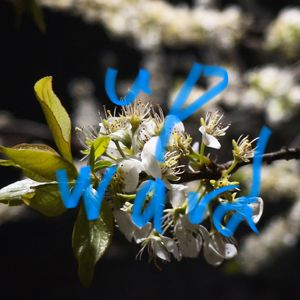 潮汐来信-整曲 伴奏