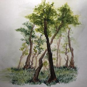 Forest（Vocal Edit）