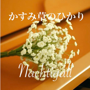 かすみ草のひかり (Remix)