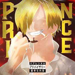 Mr. Prince