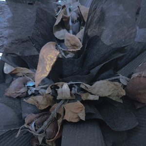 讲:私语(Prod by Slim Dyane.)