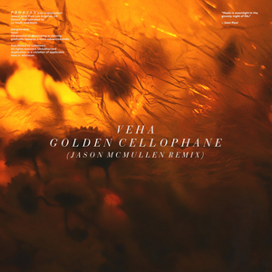 Golden Cellophane (Jason McMullen Extended Remix)