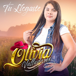 Tu Llegaste