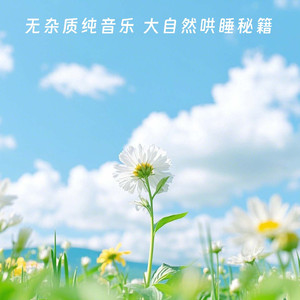 no.8 吉他助眠鸟叫 刮风 溪流