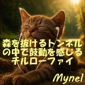 揺れる木漏れ日