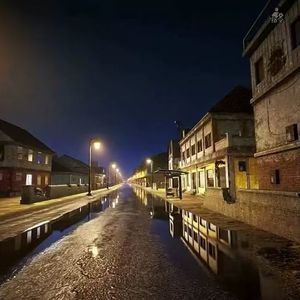 他们都说我很傻